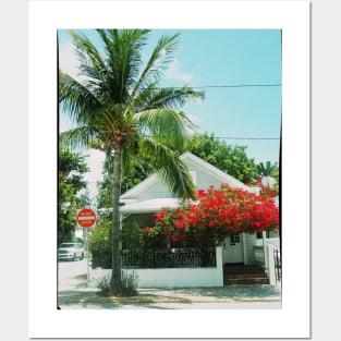 Palm tree photo Key West Florida blue sky palmtree landscape USA nature lovers Posters and Art